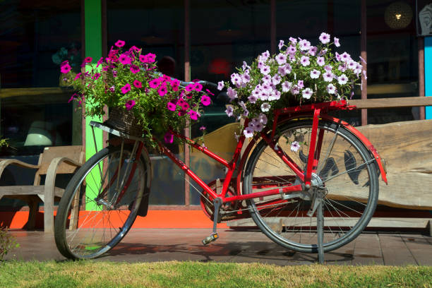 istock colorful flowers on the bicycle 918094992