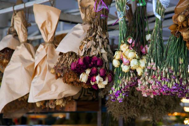 Dried plants which have had their moisture content removed hanging from a ceiling as decoration
