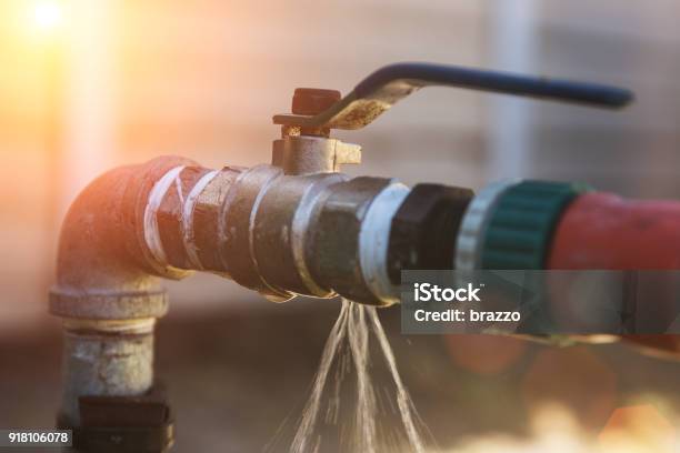 Water Leaking From A Irrigation Pipe Faucet Stock Photo - Download Image Now - Leaking, Water, Pipe - Tube