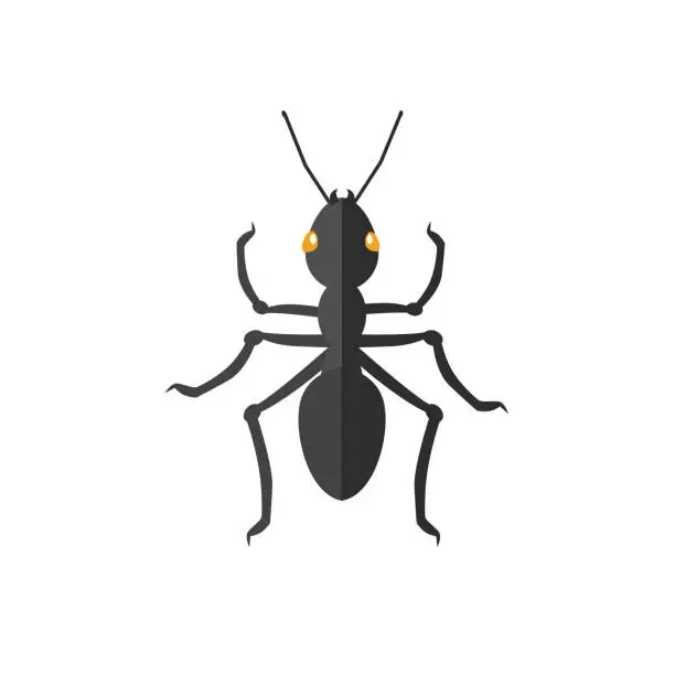 Vector illustration of Ant Icon Vector