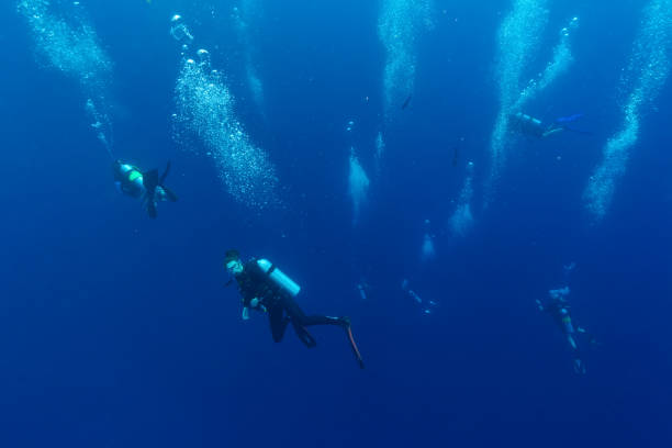 istock Group of scuba divers descending into deepness 918111182