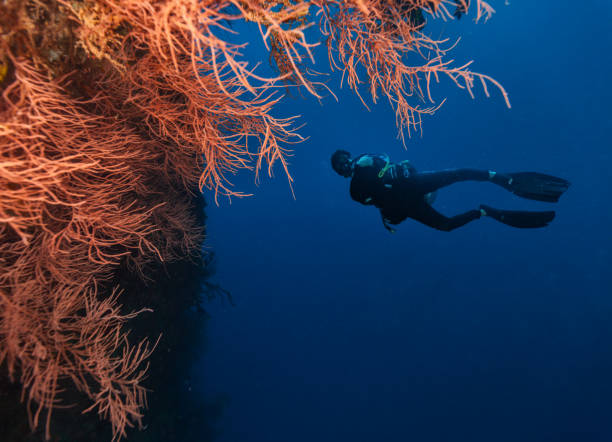 istock Young man scuba diver exploring coral reef 918113286