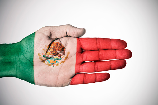 the palm of a young caucasian man patterned with the flag of Mexico, against a-white background with a slight vignette added