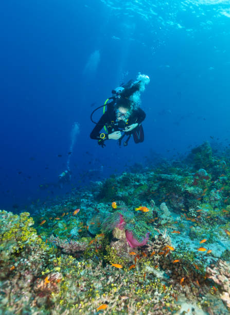 istock Young woman scuba diver exploring coral reef 918113418