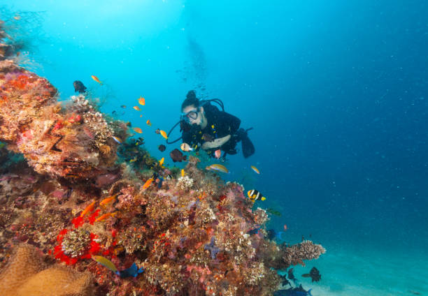 istock Young woman scuba diver exploring coral reef 918113846