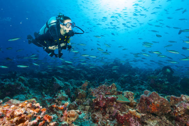 istock Young woman scuba diver exploring coral reef 918114092