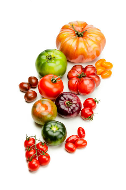 istock Tomato varieties isolated on white background 918114456