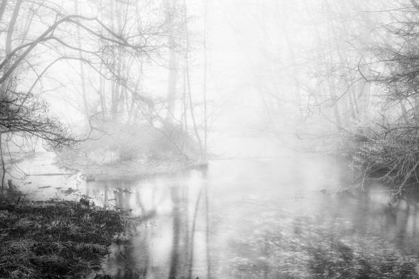 istock winter landscapes on the Ticino river 918114604
