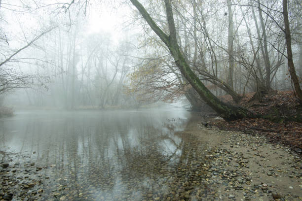 istock winter landscapes on the Ticino river 918116832