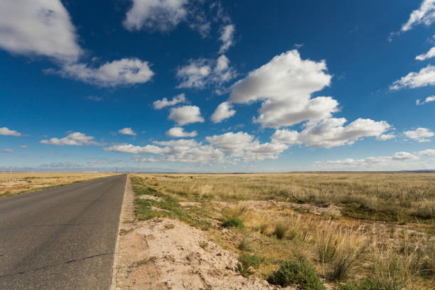 istock Straight Asphalt Road on the Wilderness 918117856