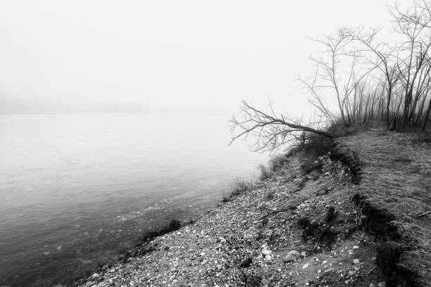 views of the Ticino river banks in a foggy morning