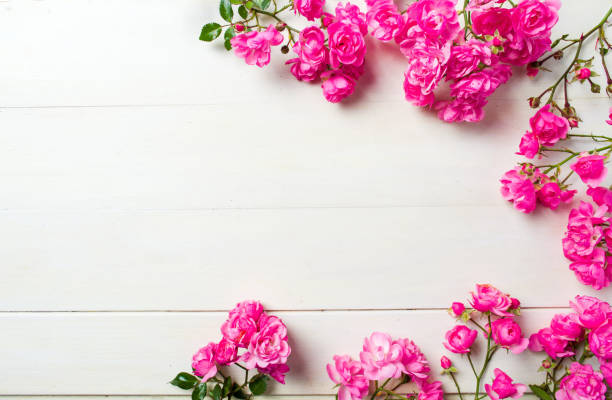 istock Pink roses on wooden background top view 918121450