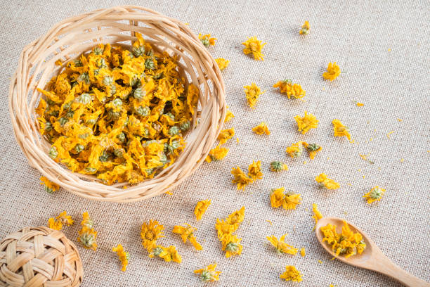 Dried Chrysanthemum flower on a brown sack background for medication or tea.