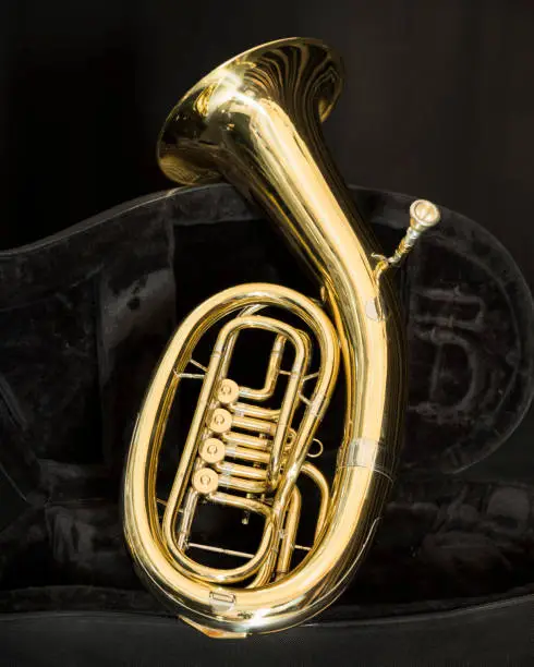 baritone brass instrument with valves in dark case