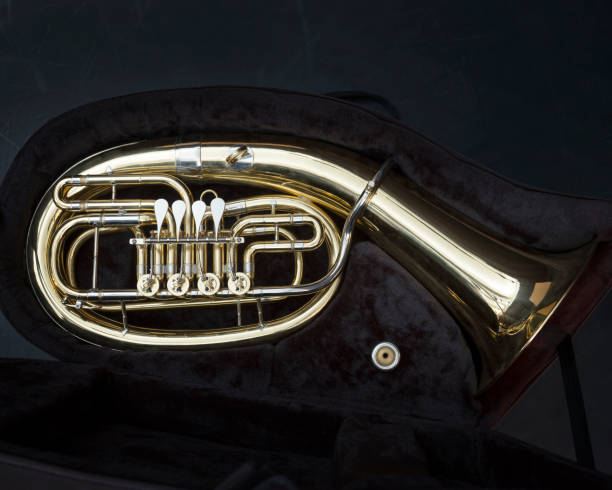 istock baritone brass instrument with valves in dark case 918124354