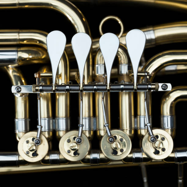 istock baritone brass instrument with valves in dark case 918124508