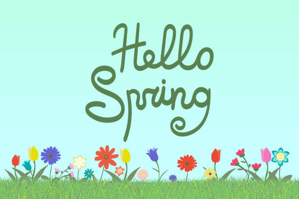 istock Set of many variation of flowers on blue sky background with grass and text lettering HELLO SPRING vector illustration postcard. Happy, cute, hand drawn with love. 918124666