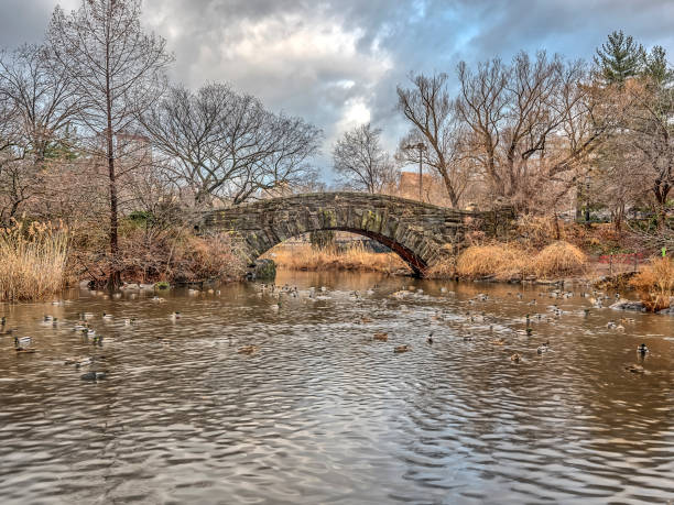 istock Gapstow bridge Central Park, New York City 918127534