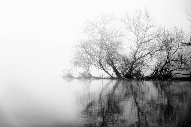 istock winter landscapes on the Ticino river 918127920