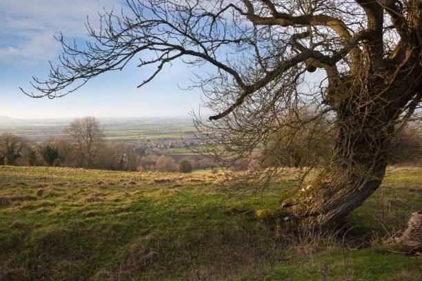 istock Cotswold landscape in winter 918139394