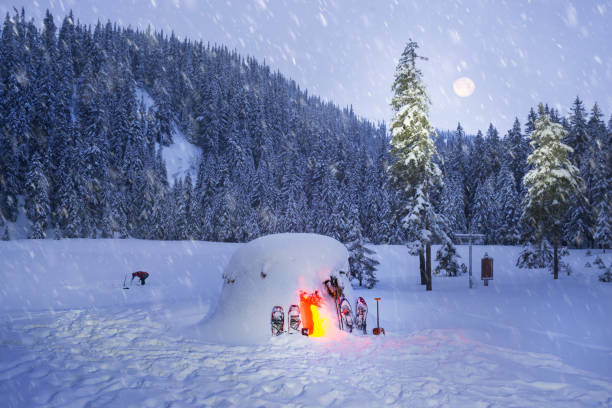 istock Snowy shelter in the storm 918139566