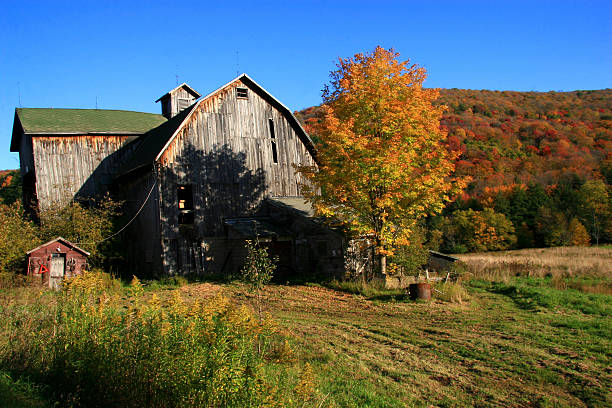 istock Catskills Autumn Farmhouse 91814578