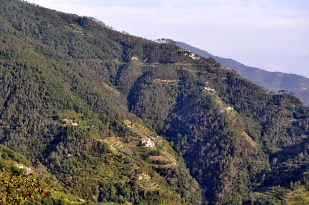 istock Vineyards in Cinque Terre, Italy 918147086