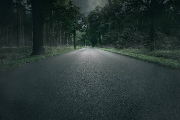 istock Dark road, trees and fog 918150952