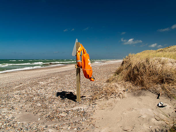 istock Lifebuoy at Skagen beach 91815096