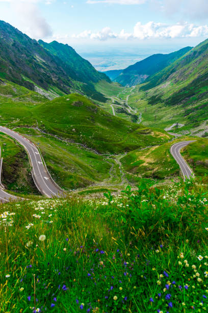 istock Amazing road in the mountains 918153794