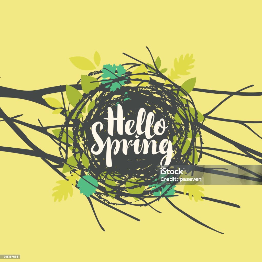 inscription Hello spring in nest with leaves Vector banner with calligraphic inscription Hello Spring. Bird's nest of twigs and leaves on a tree branch on a light green background Bird's Nest stock vector