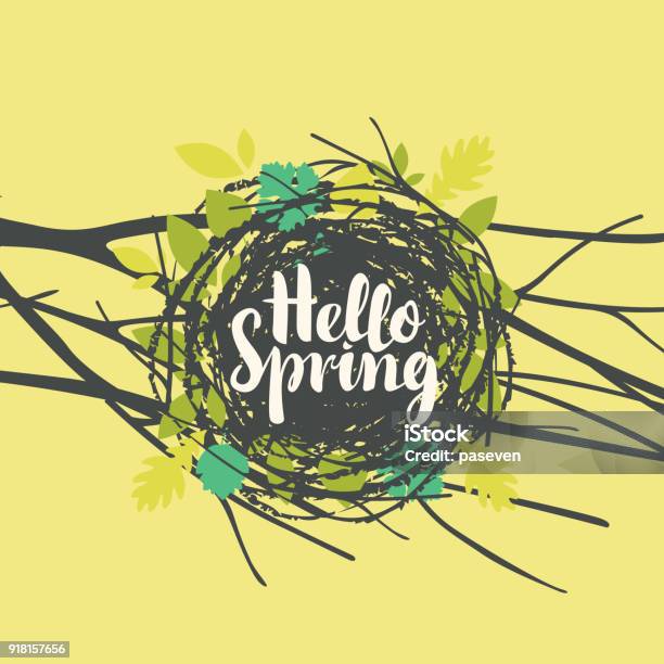 Inscription Hello Spring In Nest With Leaves Stock Illustration - Download Image Now - Bird's Nest, May, Animal Nest