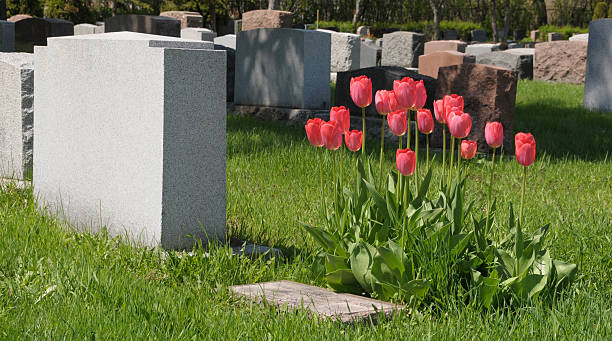 istock Tulips at the cemetery 91816110