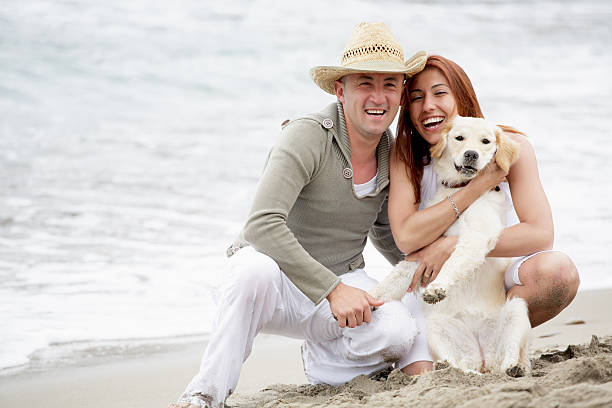 istock Young happy couple with a dog on the beach 91816204