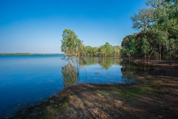 istock Sunrise - Dawn, Lake, Dawn, Sun, Riverbank 918166442