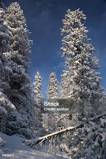 Zima Wilderness - zdjęcia stockowe i więcej obrazów Bez ludzi - Bez ludzi, Bezchmurne niebo, Biały