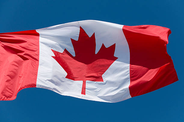 istock Canadian flag blowing in the wind 91816747