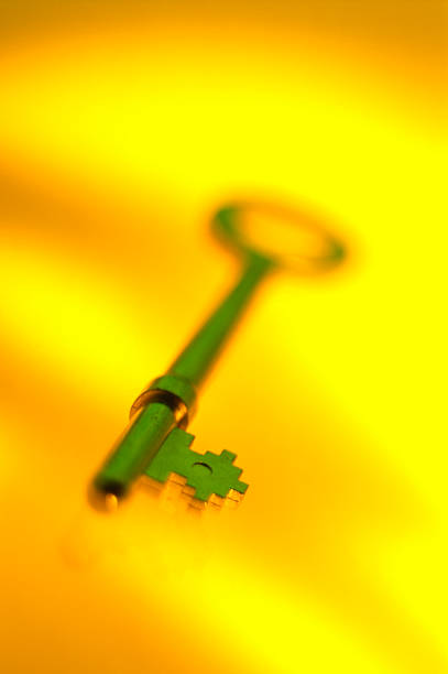 istock Green colored key photographed against yellow background 91816997