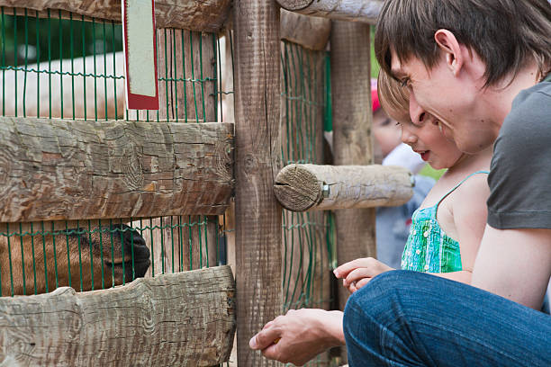 istock Dad and daughter feedind kids. 91817127
