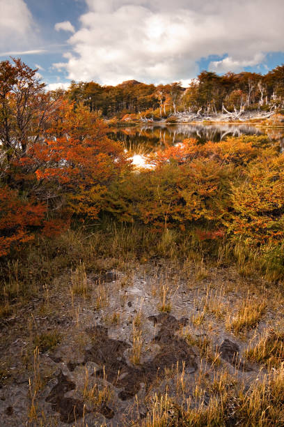 View of Lake Fagnano, near Ushuaia and Tolhuin, Tierra del Fuego, Patagonia, Argentina.