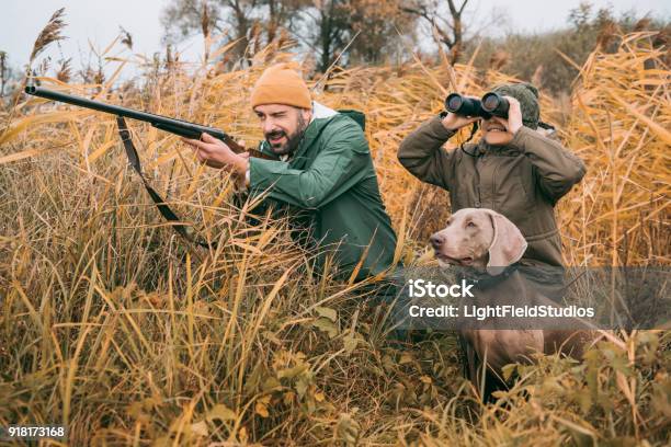 Bird Hunting Stock Photo - Download Image Now - Hunting - Sport, Hunter, Dog