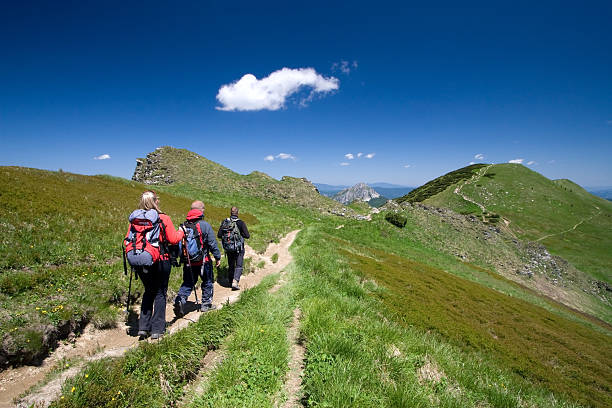 istock Hiking in Mala Fatra, Slovakia 91817528