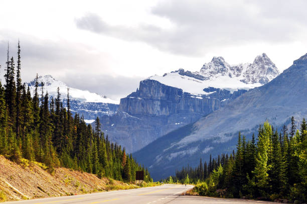 istock Icefields  Parkway in the Canadian Rockies 918179326