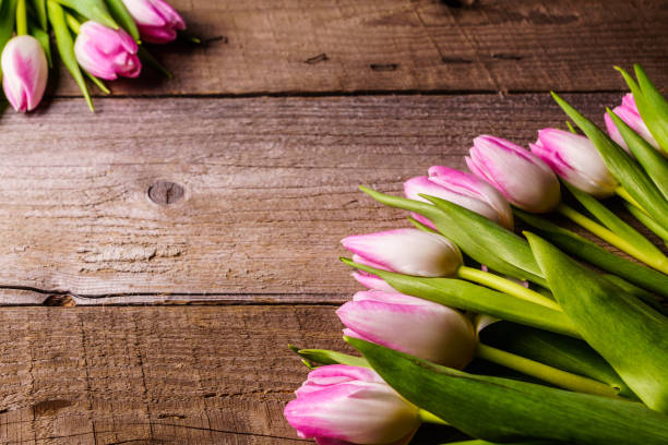 istock Pink tulips; on old wooden background. 918180152