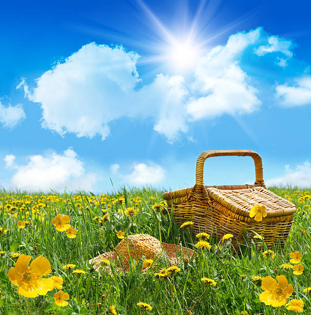 Summer picnic basket with straw hat in a field stock photo