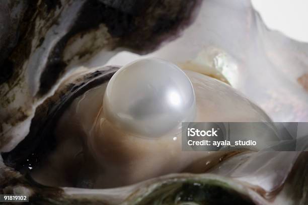 Ostras Y Pearl Foto de stock y más banco de imágenes de Collar de perlas - Joyas - Collar de perlas - Joyas, Perla, Ostra