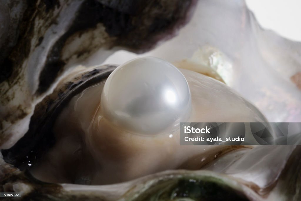 Huître et Pearl - Photo de Perle de culture libre de droits