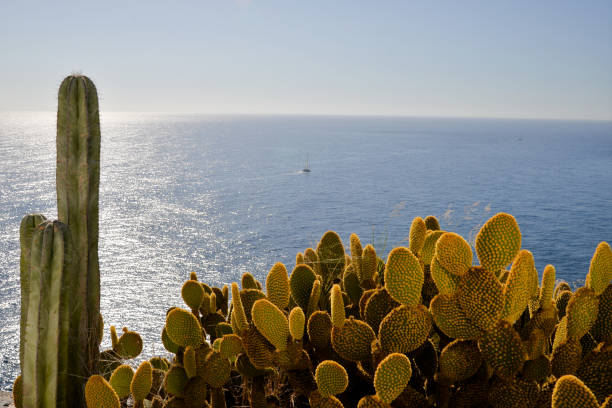 istock La Gomera: beach and harbor of Playa de Santiago 918195162