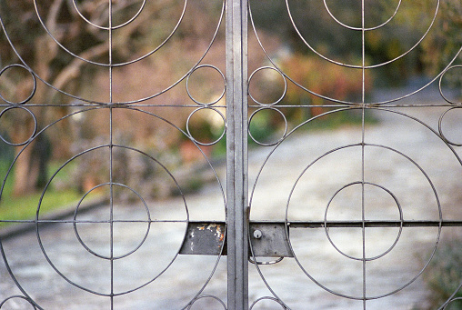 iron gate in focus with blurred background. Scan of Kodak Portra  film
