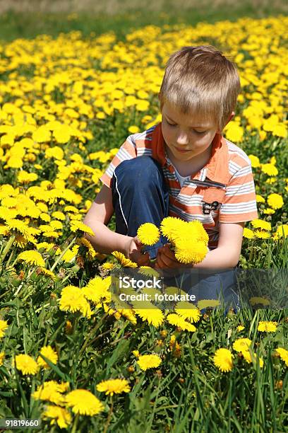 Foto de Menino E Dentes De Leão e mais fotos de stock de Alegria - Alegria, Amarelo, Atividade